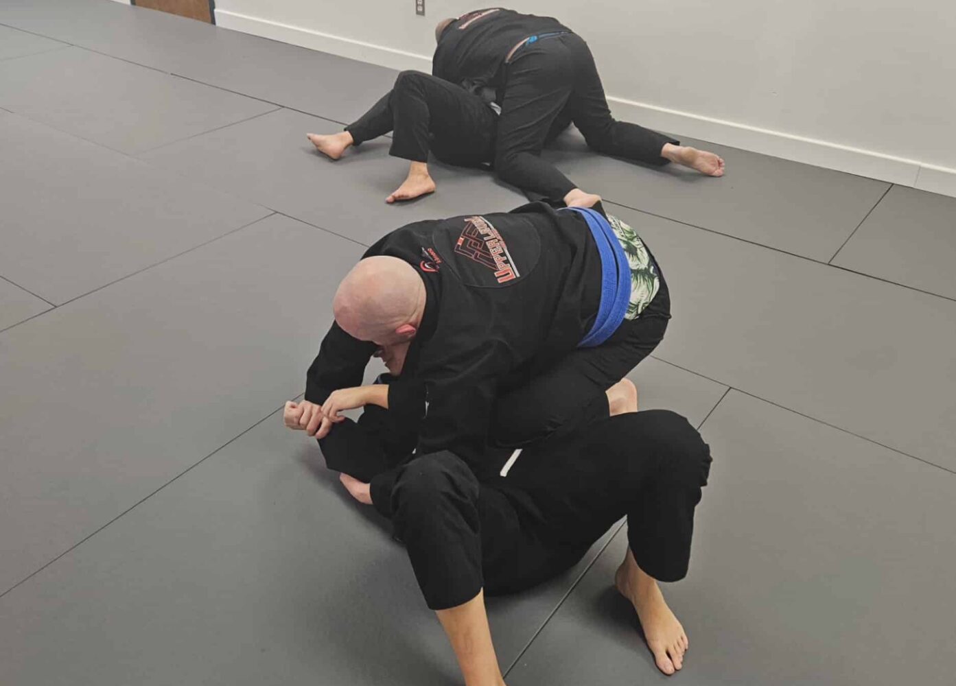 Upper Level Jiu Jitsu Brazilian Jiu Jitsu